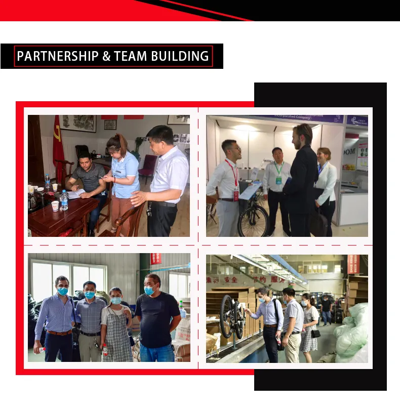 Hotsale 26 Inches Steel Folding Bike or Mini Bike for Adults