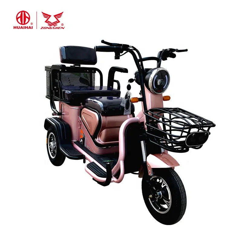 New 48V500W 3 Wheel Electric Vehicl for Two Passengers Use
