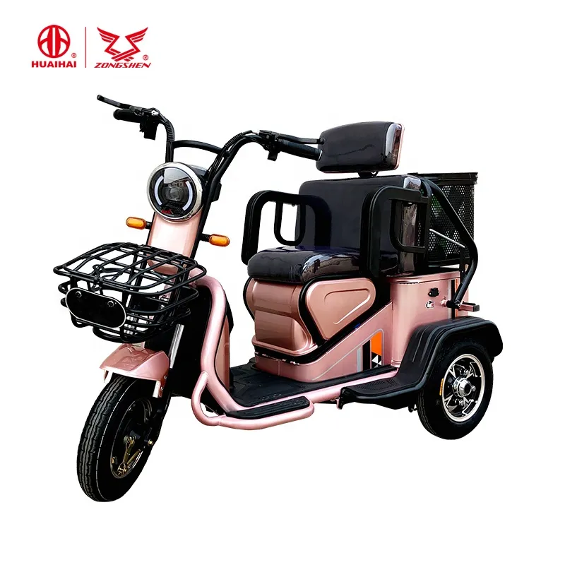 New 48V500W 3 Wheel Electric Vehicl for Two Passengers Use