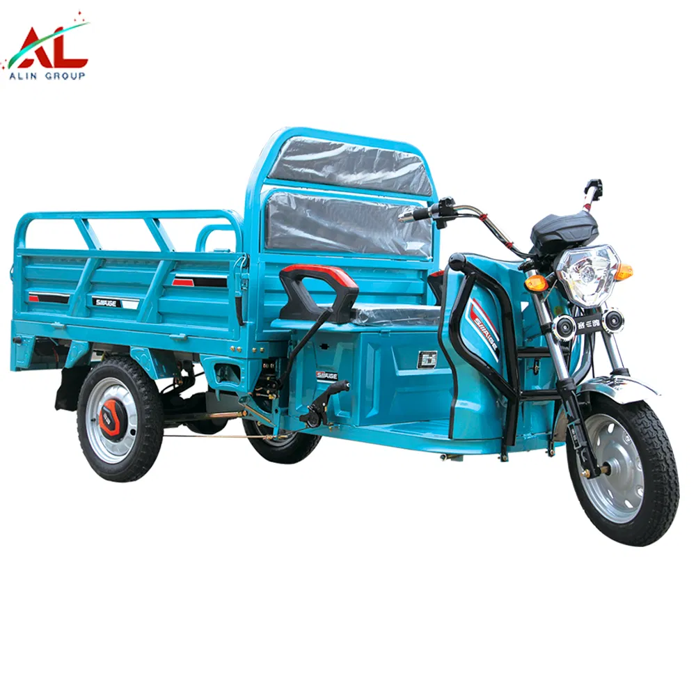 New Arrival Electric Trike Tricycle 500W 3 Wheel Electric Cargo Tricycle 20 Inch