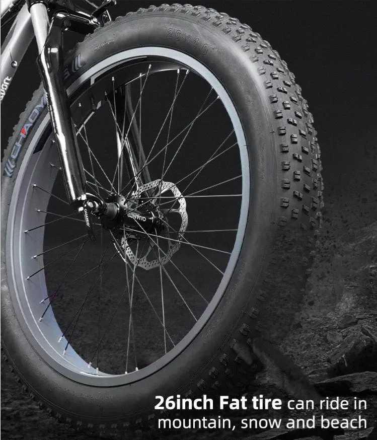 New Product 48V 1000W Fat Tire Ebike Mountain Electric Bike Bicycle with Lithium Battery