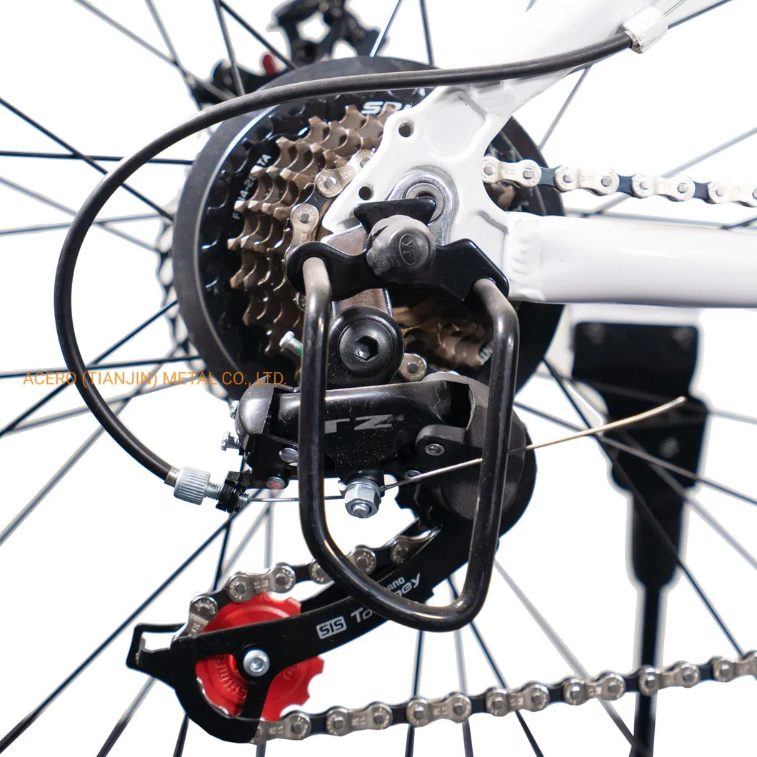 OEM 26" Adult Aluminum Alloy Snow Mountain Bicycle with Fat Tyre China Factory Wholesale 21speed Support Disc Break Customized Acceptable MTB Bike Bicycle