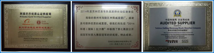 Quality Yearben Coilover Shocks