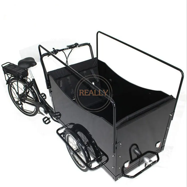 Rl-T03A Most Popular 30-35km/H Food Bike