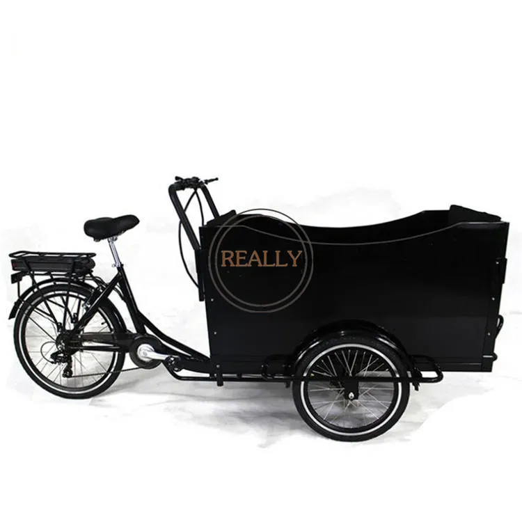 Rl-T03A Most Popular 30-35km/H Food Bike