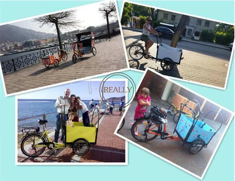 Rl-T03A Most Popular 30-35km/H Food Bike