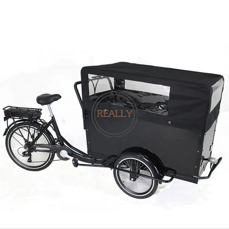 Rl-T03A Most Popular 30-35km/H Food Bike