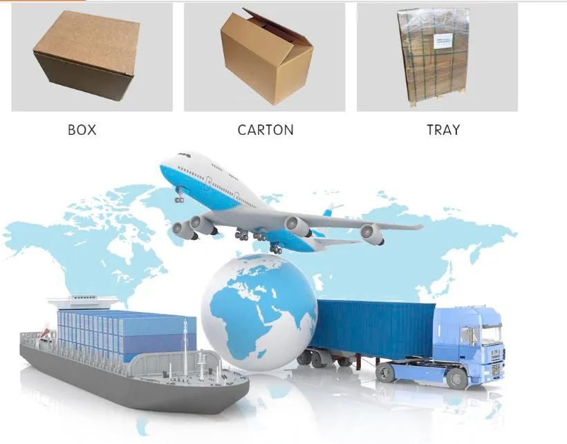 Starter Motor 18718n Fits ATV Artic Cat 400 Dvx, Kawasaki Ksf400 Kfx400 off-Road Elx400r Klx400sr, Suzuki Lt-Z400 Dr-2400sm off-Road Dr-2400e Dr-2400s 2000-2015