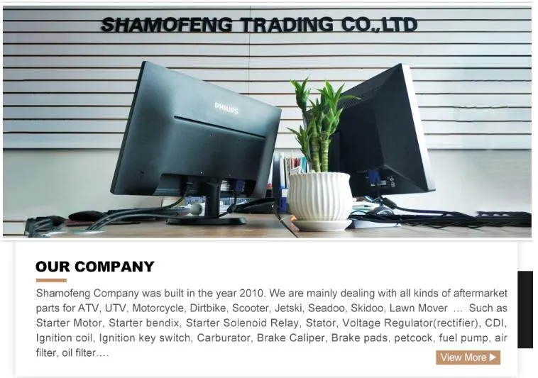 Starter Motor 18718n Fits ATV Artic Cat 400 Dvx, Kawasaki Ksf400 Kfx400 off-Road Elx400r Klx400sr, Suzuki Lt-Z400 Dr-2400sm off-Road Dr-2400e Dr-2400s 2000-2015