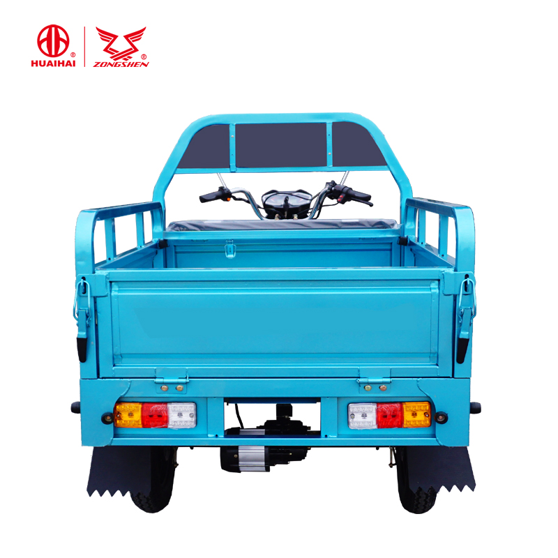 Sunproof 1000W Motor Powerful Electric Cargo Tricycle with Low Cost