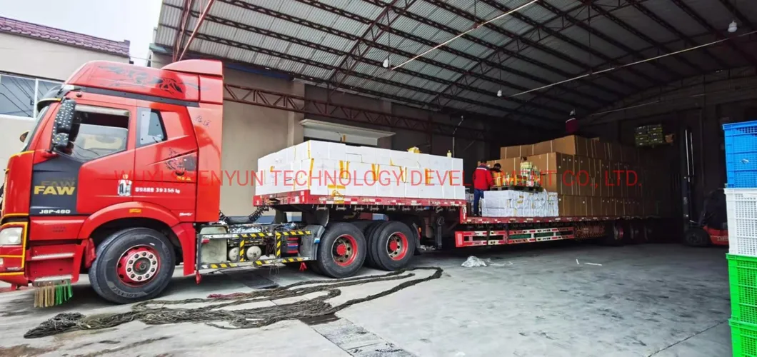 Super High Power Electric Scooter with 3000W Motor Long Range 160km for Wholesale Electric Motorcycle Electric Scooter