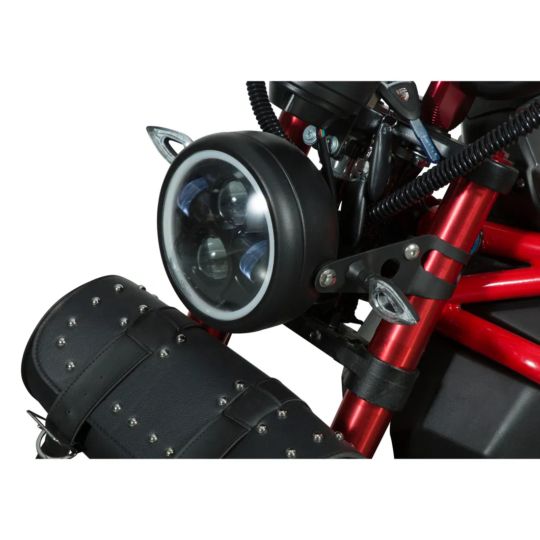 Super Speed Adult Racing Electrical Motorcycle with High Speed