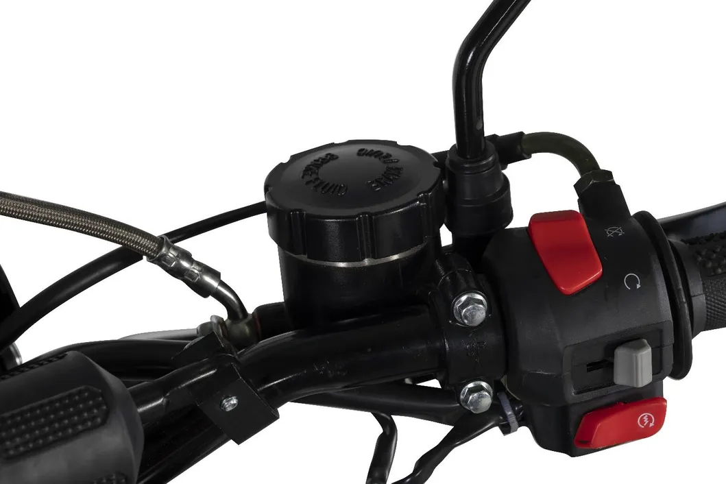 Swell Motorcycles / in Excellent Efi System