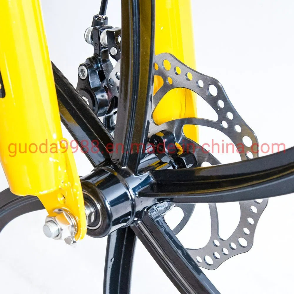 Variable Speed Mountain Bike Factory Outlet Bike Good Price