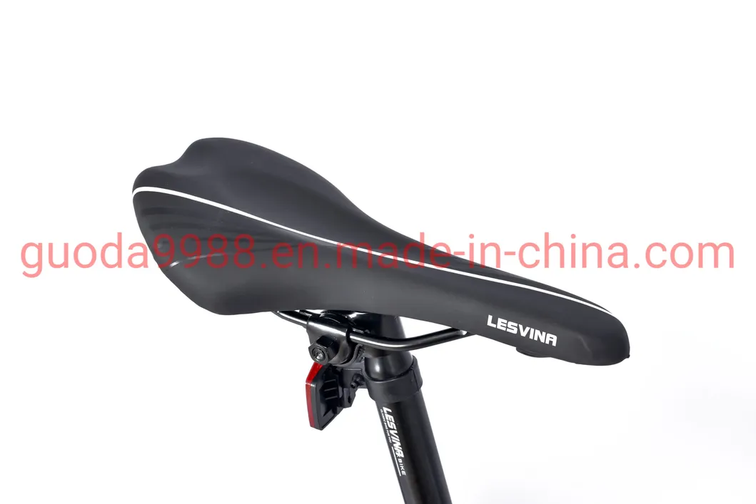 Wholesale Al Alloy Frame Road Bicycle Rdb Disc Brake for Adult