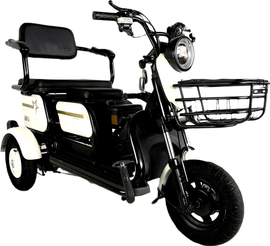 X3 Modern Design 48V/60V 23A 500W Electric Tricycle with Storage Basket