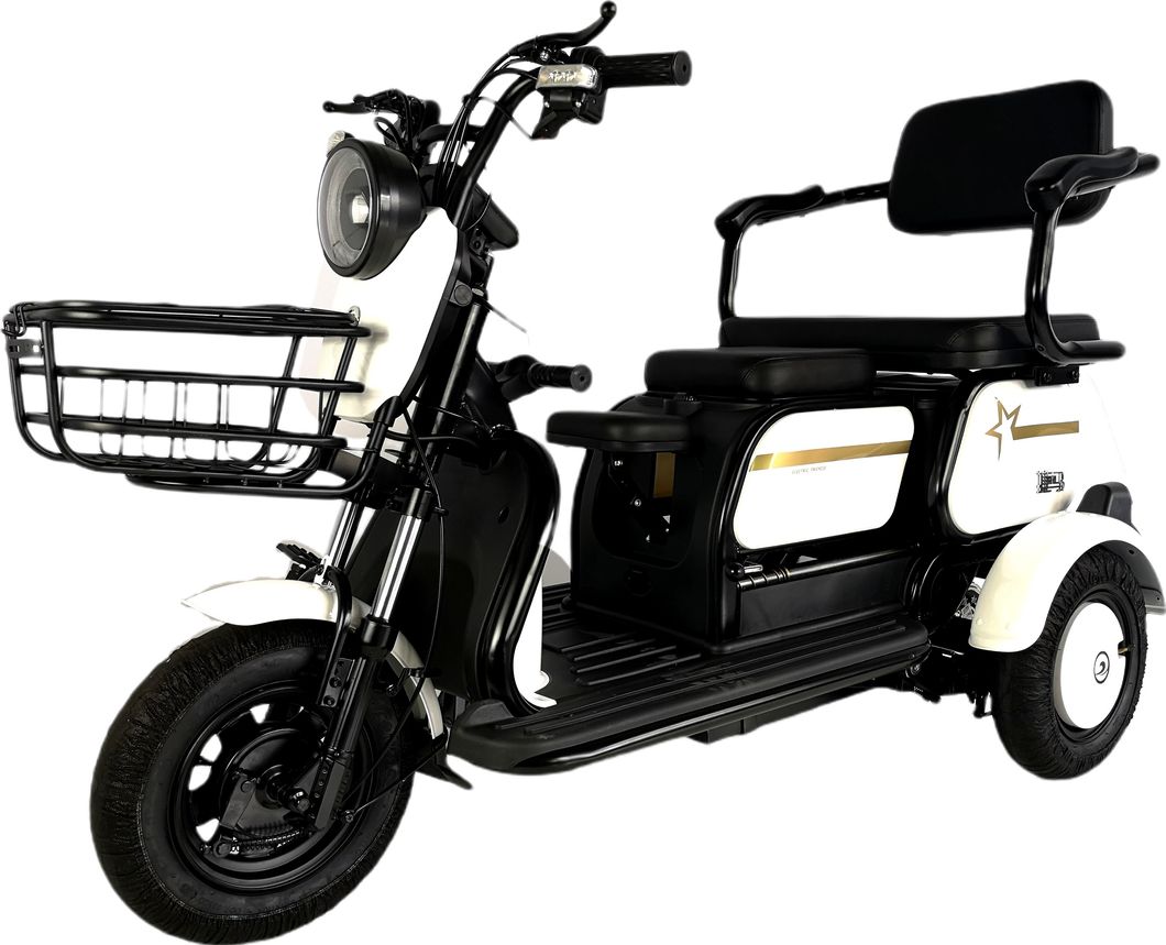 X3 Modern Design 48V/60V 23A 500W Electric Tricycle with Storage Basket