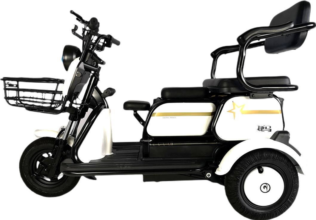 X3 Modern Design 48V/60V 23A 500W Electric Tricycle with Storage Basket