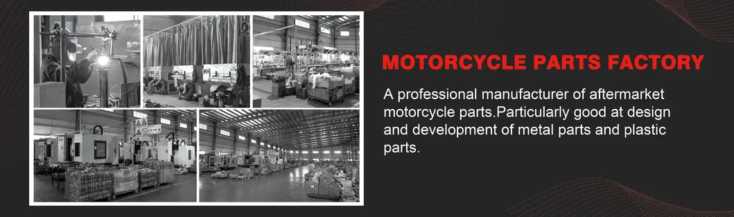 Xf-301 Motorcycle Radiator Cooler Cooling Fit for Honda CB400 1992-1998